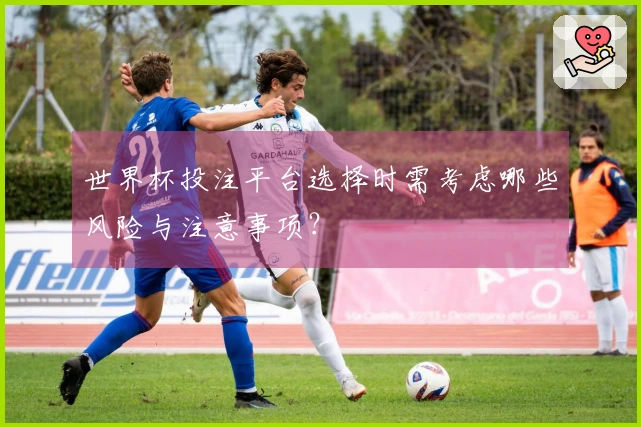 世界杯投注平台选择时需考虑哪些风险与注意事项？