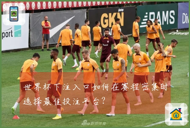 世界杯下注入口如何在赛程密集时选择最佳投注平台？