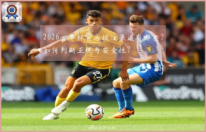2026世界杯官方投注渠道有哪些？如何判断正规与安全性？