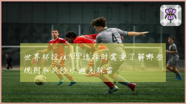 世界杯投注APP选择时需要了解哪些规则和风险以避免踩雷