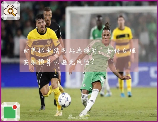 世界杯竞猜网站选择时，如何合理安排预算以避免风险？