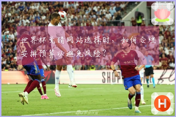 世界杯竞猜网站选择时，如何合理安排预算以避免风险？